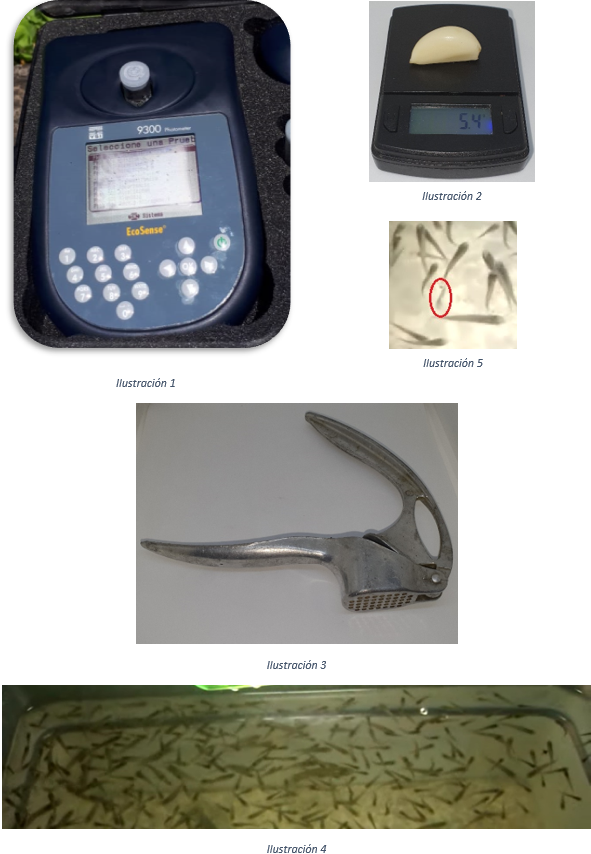 material_ajo_alicina_peces_defensas