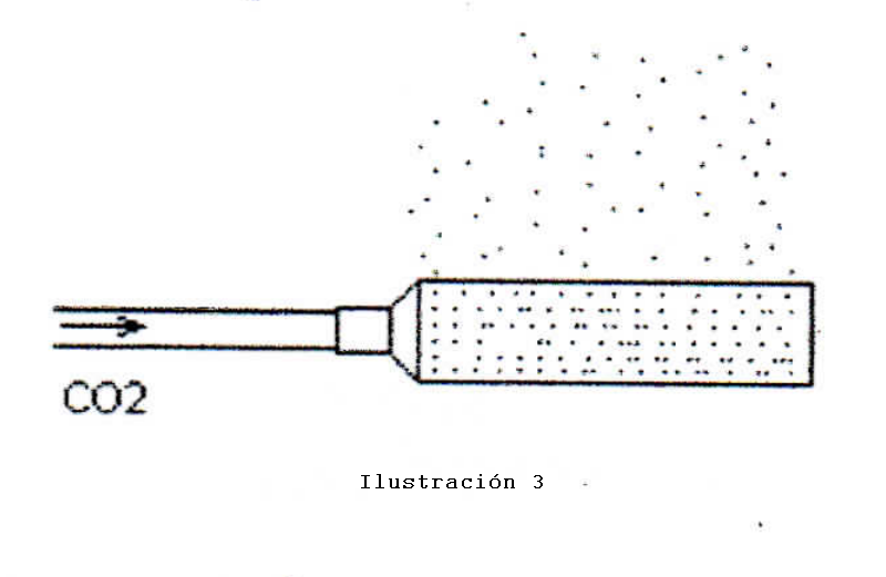 Difusor liberando burbujas de CO2