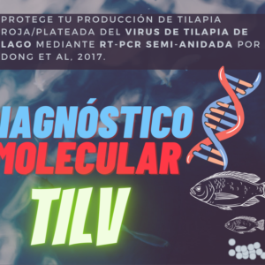 diagnostico_pcr_estreptococosis_agalactiae_ST7_1a
