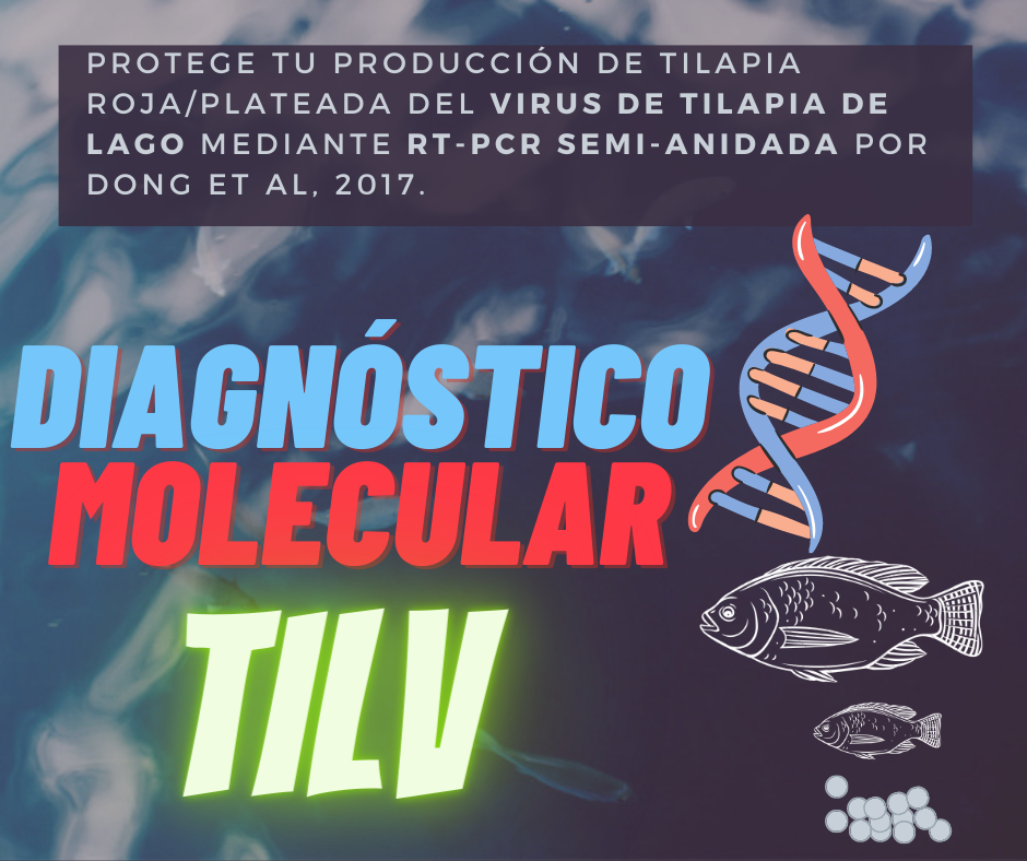diagnostico_pcr_estreptococosis_agalactiae_ST7_1a