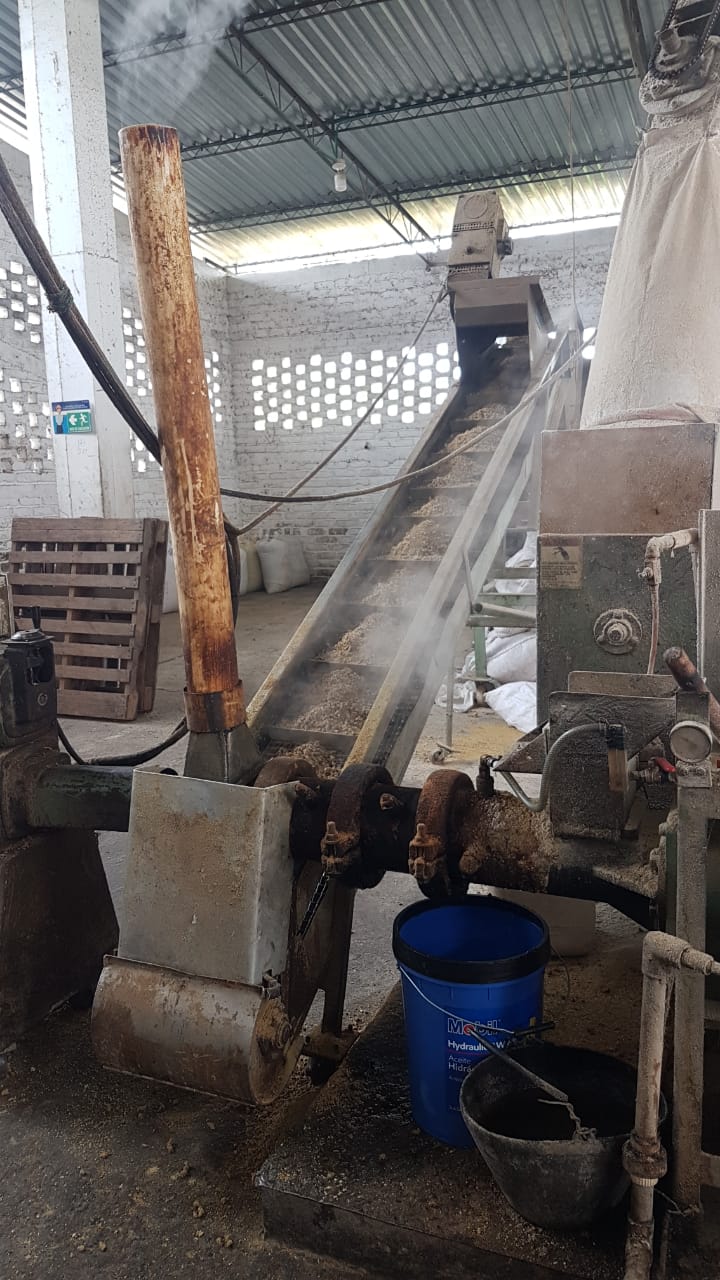 Extrusionadora Extruder pienso concentrado acuicultura