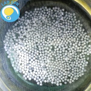 Proceso de enquistamiento de huevos en cachama blanca
